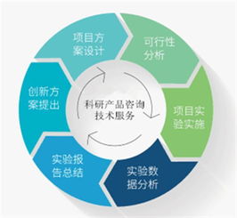 走進(jìn)八月 探秘ELISA試劑盒與現(xiàn)代信息技術(shù)咨詢服務(wù)的創(chuàng)新融合